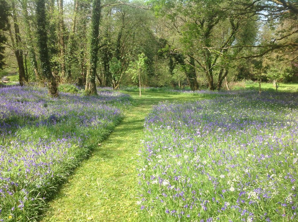 Gleann Fia Country House Lower Coolcorcoran 외부 사진